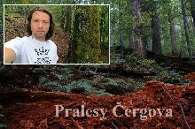 Pralesy Čergova