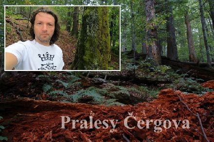Pralesy Čergova