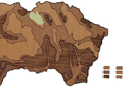 Rozšírenie vegetácie v alleröde