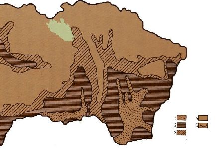 Rozšírenie vegetácie v mladom dryase