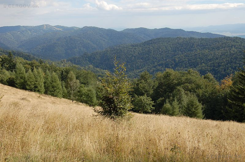 Lysá v pozadí