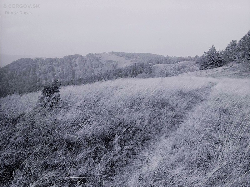 V pozadí Veľká Javorina