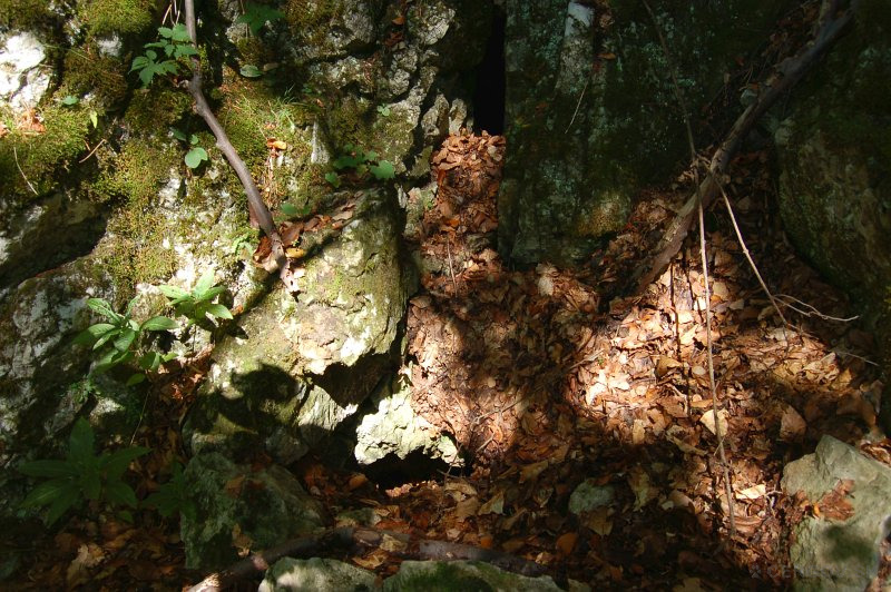 Predhradová jaskyňa