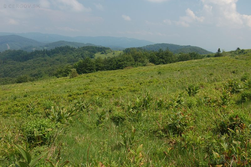 Národná prírodná rezervácia Čergovský Minčol