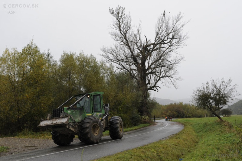 Spílenie topoľa čierneho pri Ľutine