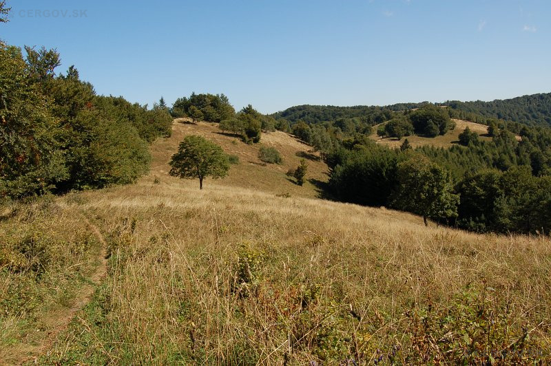 Pohľad na vrcholové lúky z Hrašovíka