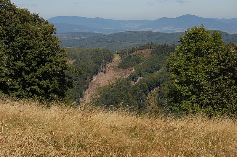 Pohľad na premenené lesy