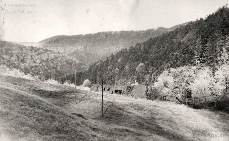 Horská lúka na Baraňom, dole rozpadajúca sa drevenica Štefana Timuru