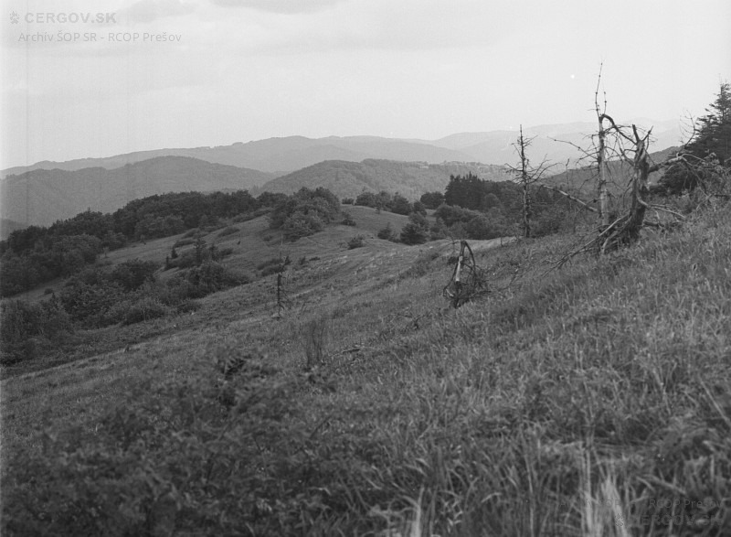 Vrcholové lúky Minčola