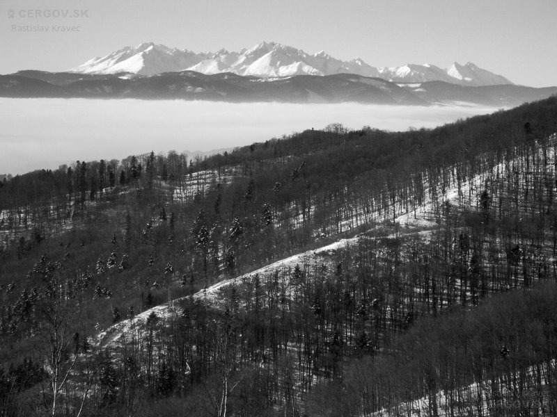 Výhľad spod vrchu Čergov na Tatry
