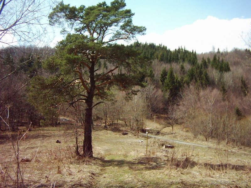 Čierne blato