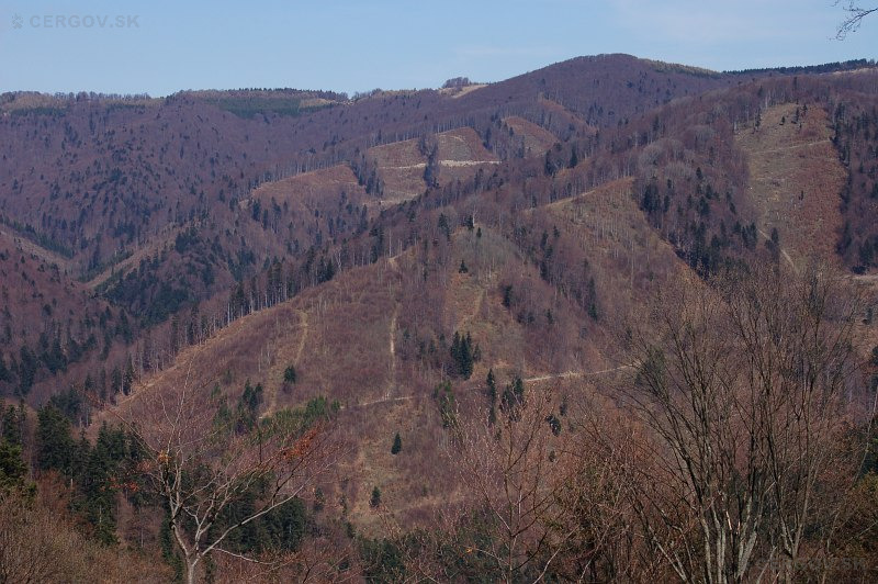 Oblasť Jarabinček, vzadu sedlo Lysina