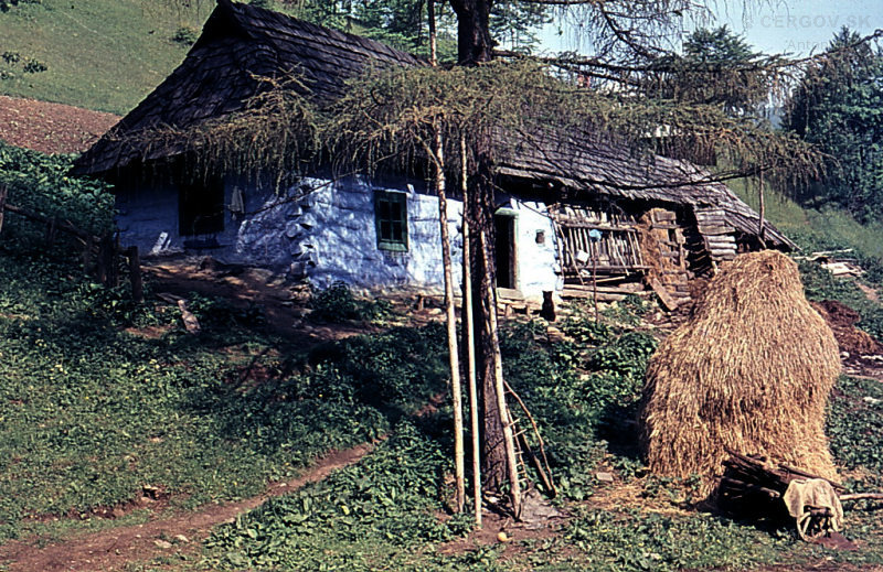 Drevenica v osade Ambrušovce