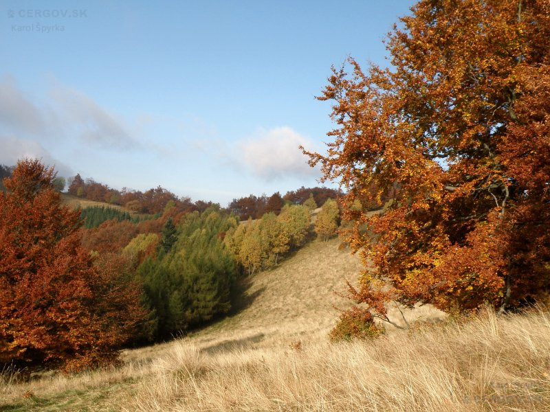 Hlavný čergovský hrebeň, oblasť v okolí Hrašovíka