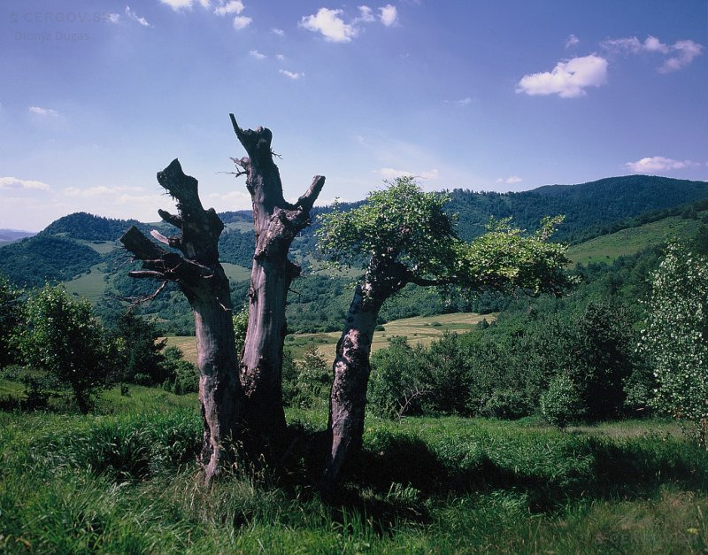 Pod Hanigovským hradom