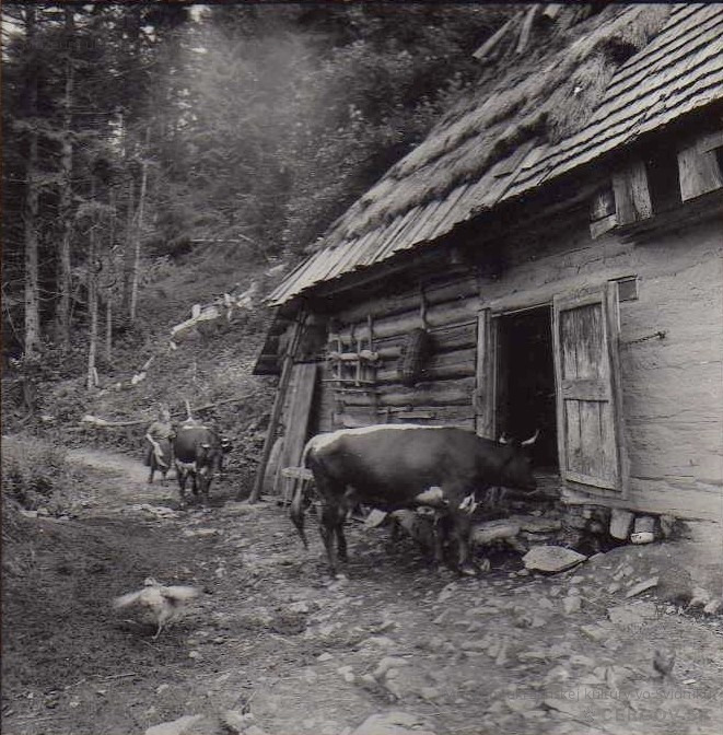 Drevenica Štefana Blaščáka v osade Baranie.