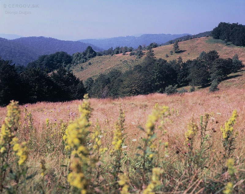 Pohľad z hlavného hrebeňa medzi Soliskom a Hrašovíkom.  Vľavo Veľký Hrašov. V pozadí hrebeň Babieho.
