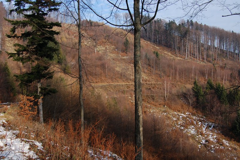 Bukový vrch - južná strana